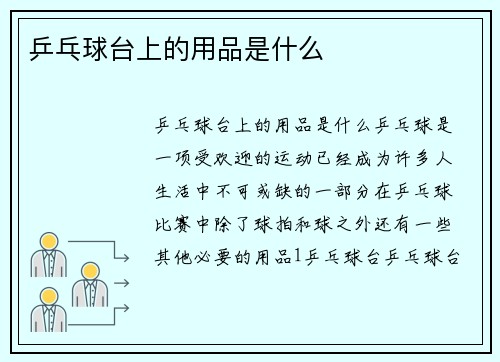 乒乓球台上的用品是什么