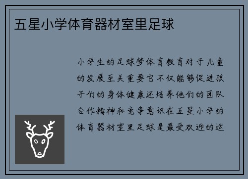 五星小学体育器材室里足球